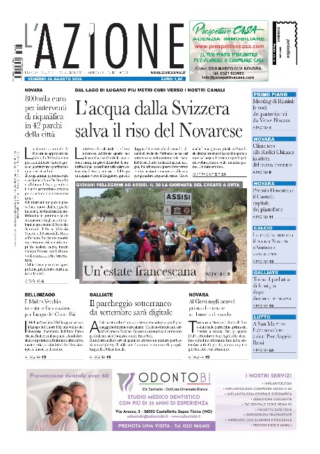 N° 31 · Anno 2026